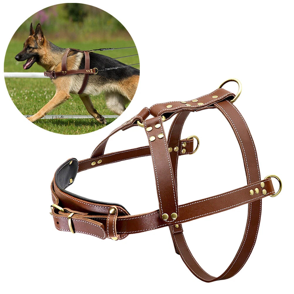 Large Brown Leather Dog Harness for Rottweiler (Adjustable)