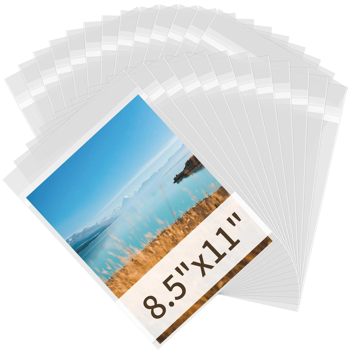 Clear Plastic Sleeves for 8.5x11 Paper (1.57 mil, Transparent)