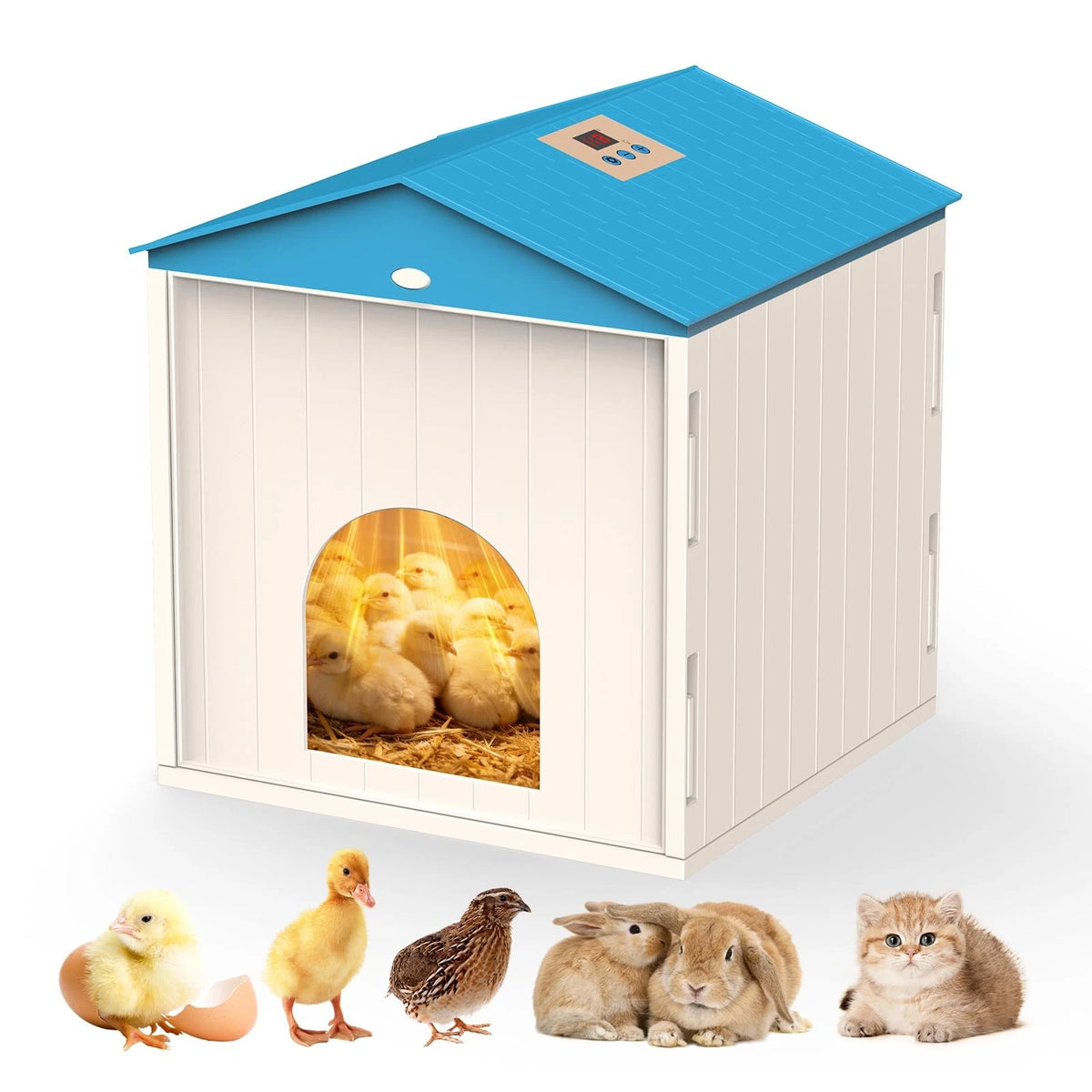 Chick Brooder Plate for Chicks - Temperature Control & Display, Blue