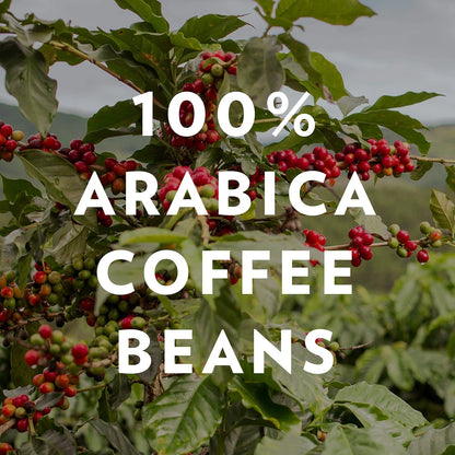 Pack of 6 Community Coffee Breakfast Blend Whole Bean Coffee 12 oz