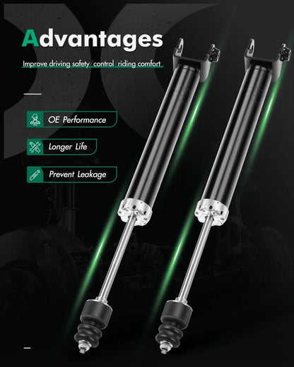 Pair Rear Shocks Struts for Infiniti G35 / Nissan 350Z (2003–2009)