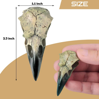 Halloween Raven Skull Statue for Gothic Decor (1 Pack)