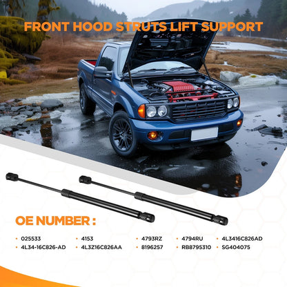 2X Hood Lift Struts for Ford F-150 Lincoln Mark LT (2004–2008)