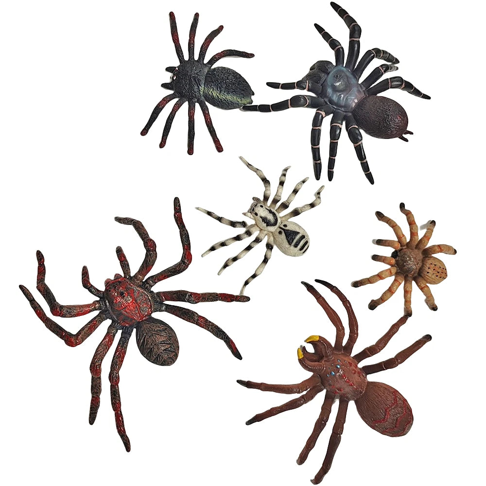 Spider Animal Model Figures for Kids (Collector Toy)