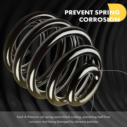 2 Rear Suspension Coil Springs for BMW E30 318i 325i (1987–1993)