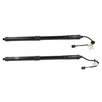 2Pcs Tailgate Lift Support for Hyundai Santa Fe (2013–2019)