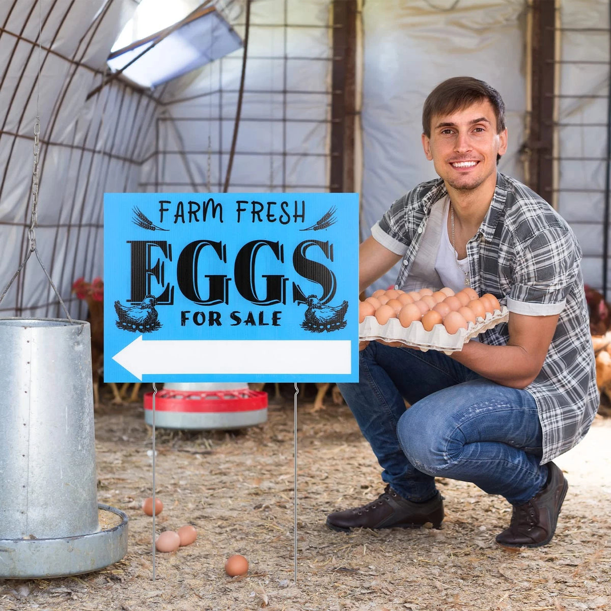3 Pcs Farm Fresh Eggs Sign 15.75 x 11.8 Inches, Blue, Black