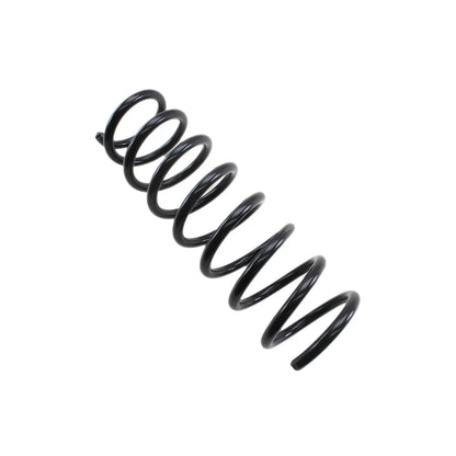 Lesjofors Rear Coil Spring for BMW (4208449)