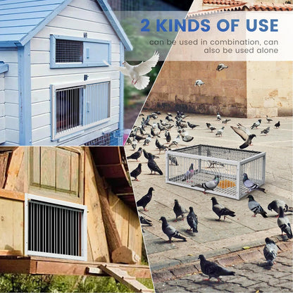 Pigeon Trap Cage for Small Birds - Folding One-Way Silver