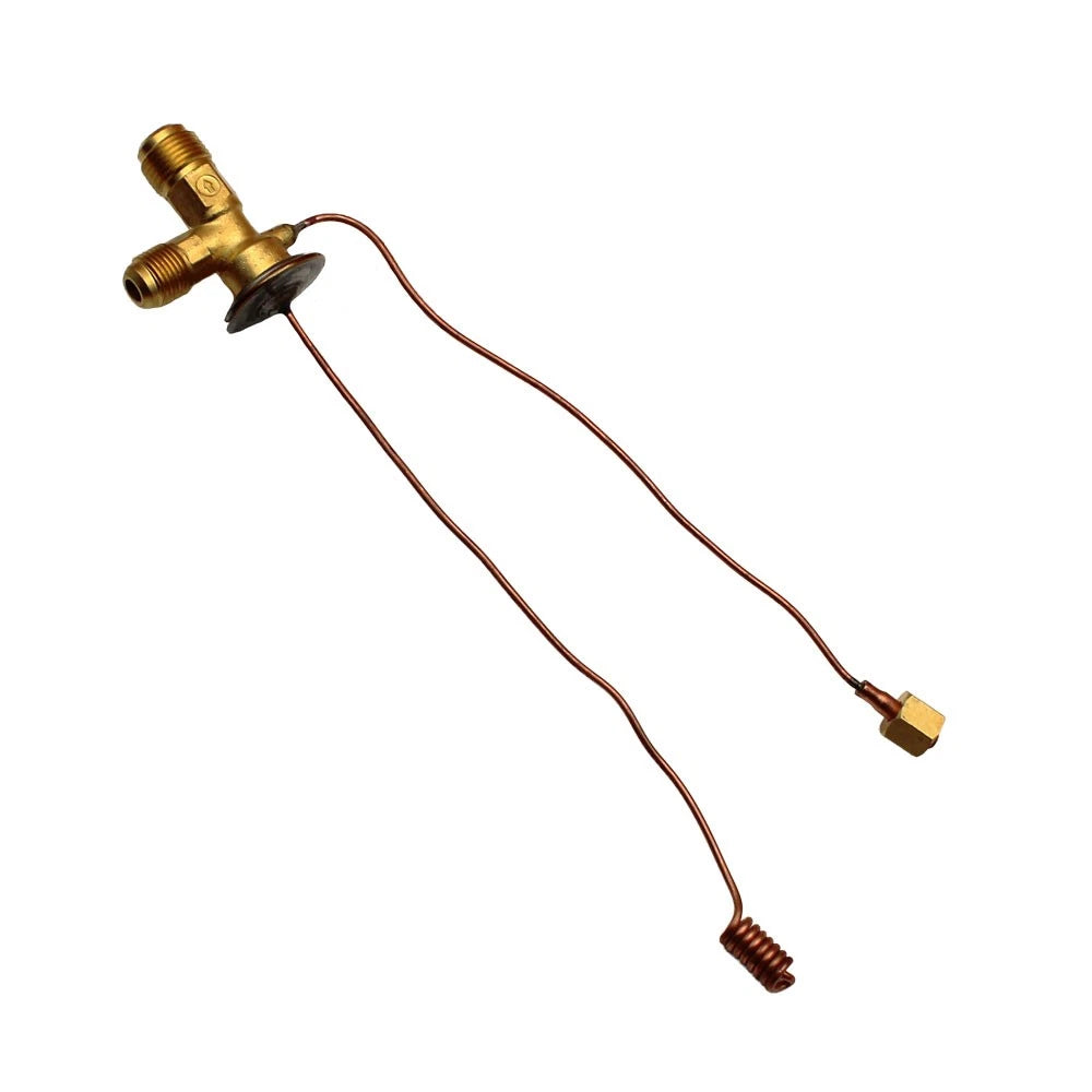 Expansion Valve for International 766 966 1066 1466 1468 (No Years Supplied)