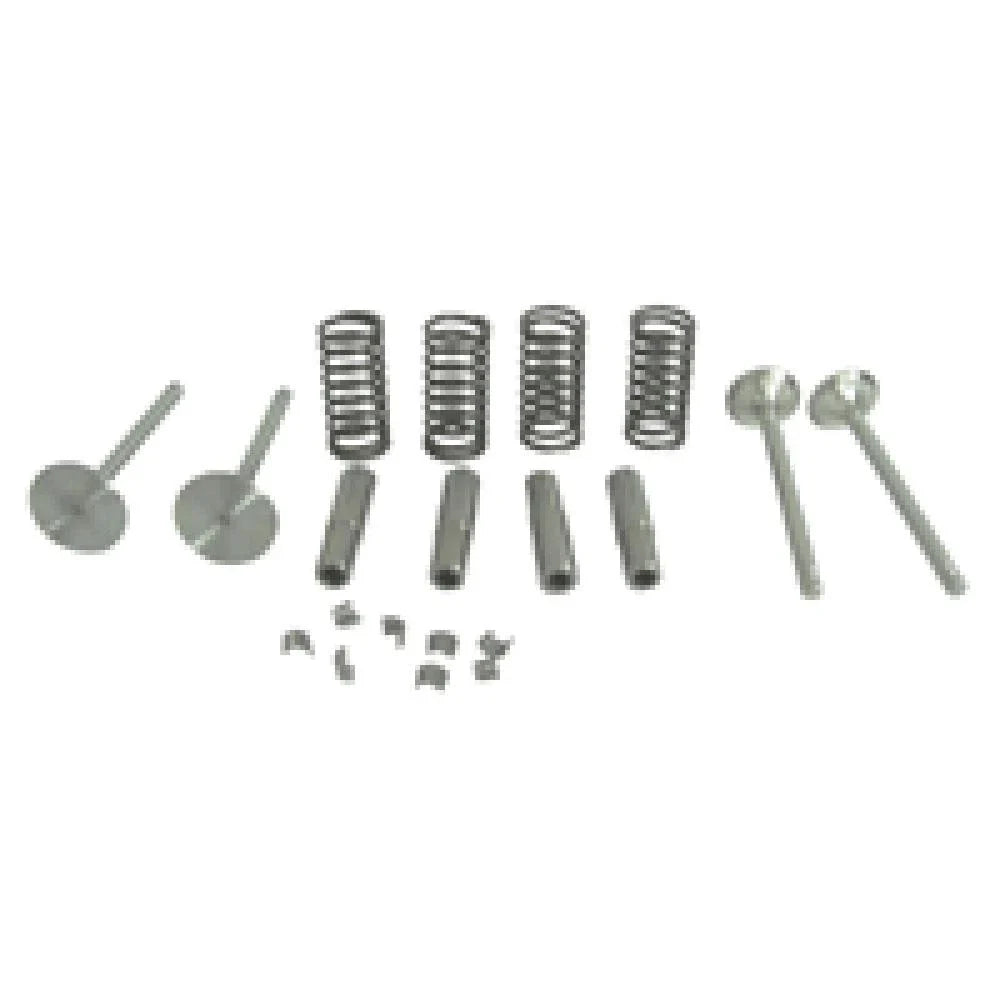 Valve Train Kit with Guides, Springs, Locks for 420 430 440