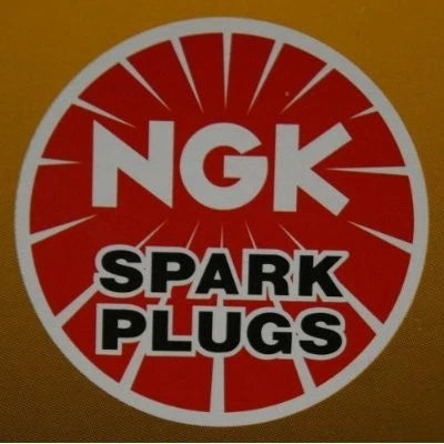 NGK BR6FIX Spark Plug for (6282)