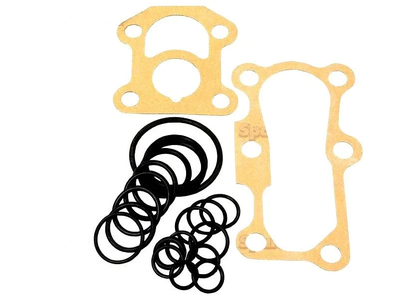 Hydraulic Pump Seal Kit for Massey Ferguson 550 565 575 590 675 690 698 (MK3)