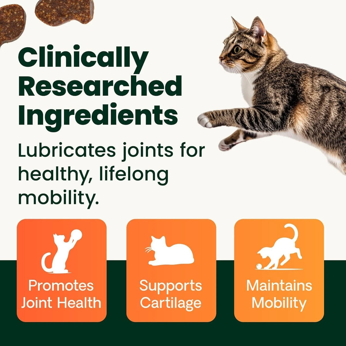 GlycoFlex 60 Chews for Healthy Hips & Joints (VetriScience)