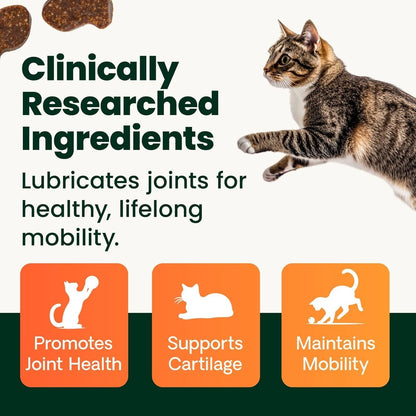 GlycoFlex 60 Chews for Healthy Hips & Joints (VetriScience)